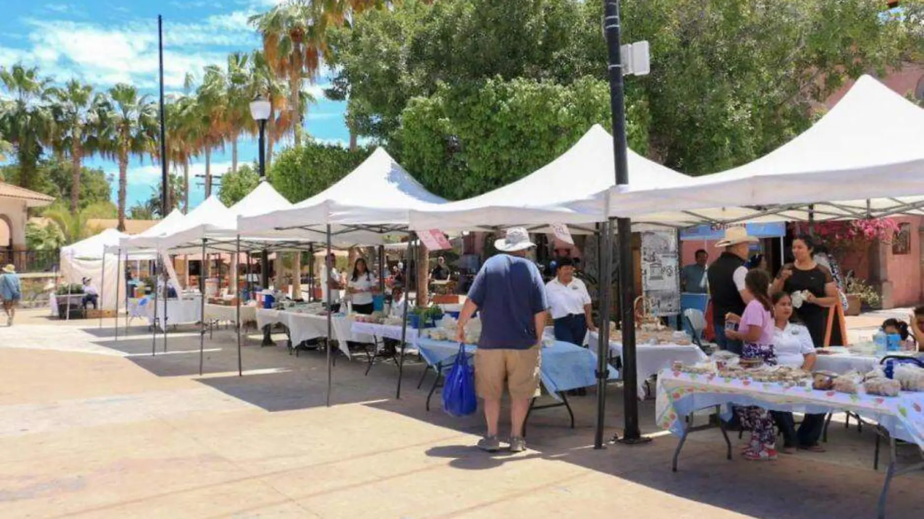 Mercado Artesanal y Orgánico de Loreto 1